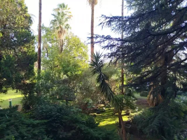 Apartment in La Source, Cannes, France 5 - 17129455