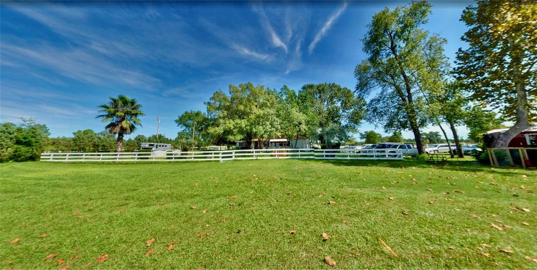 Farm Ranch in Ocala, Florida, United States 3 - 18628965