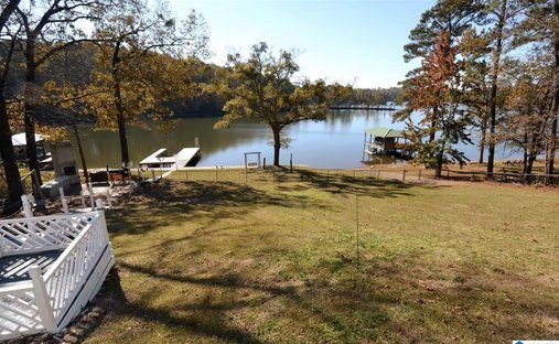 House in Alpine, Alabama, United States 1