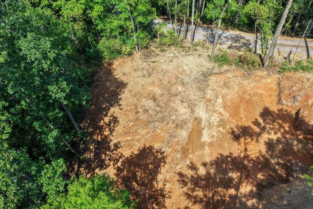House in Blue Ridge, Georgia, United States 4 - 17757817