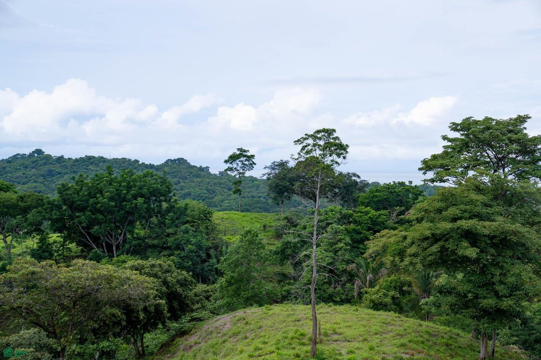 Land in Santa Cruz, Santa Cruz, Costa Rica 2 - 17810962
