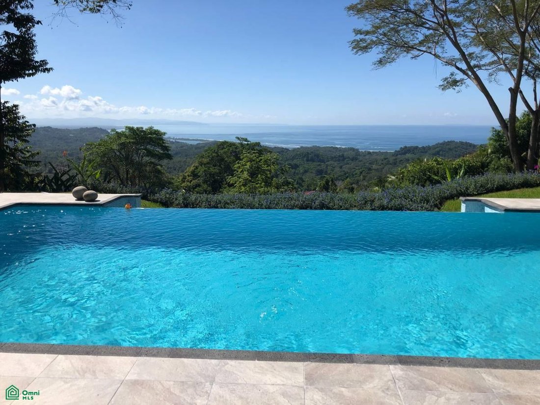 House in Tortuga Arriba, Puntarenas Province, Costa Rica 2 - 17430940
