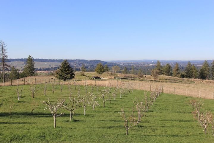 House in Colbert, Washington, United States 5 - 17635418