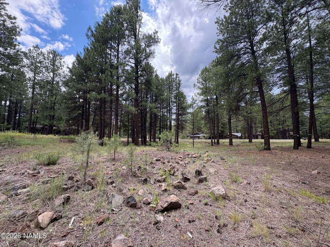House in Flagstaff, Arizona, United States 2 - 18465613
