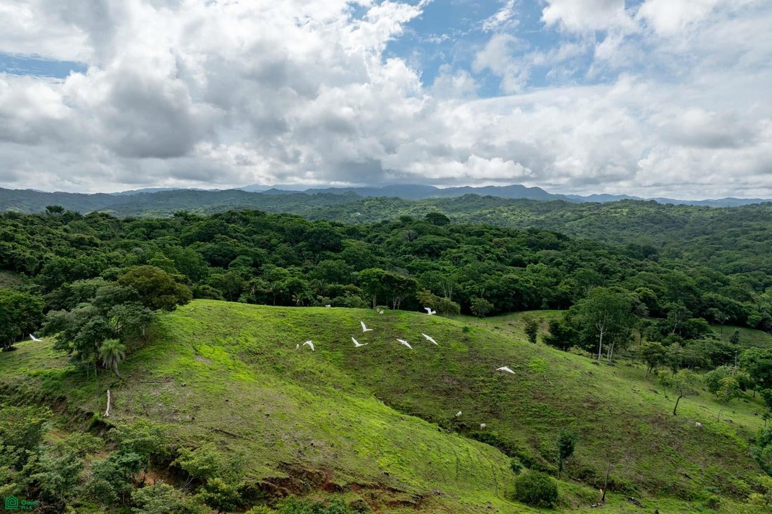 Land in Santa Cruz, Santa Cruz, Costa Rica 4 - 17810962