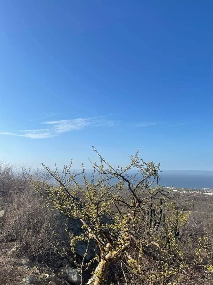 Land in Cabo San Lucas, Baja California Sur, Mexico 5 - 18627874