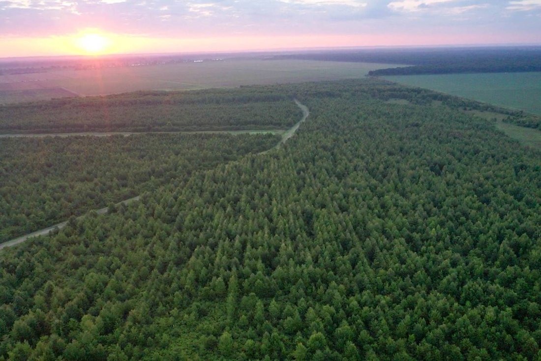 Land in Minorca, Louisiana, United States 1 - 18629407