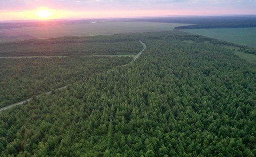 Land in Minorca, Louisiana, United States 1
