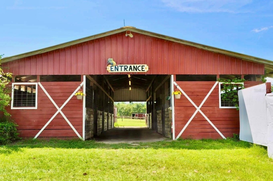 Farm Ranch in Ocala, Florida, United States 2 - 18628965