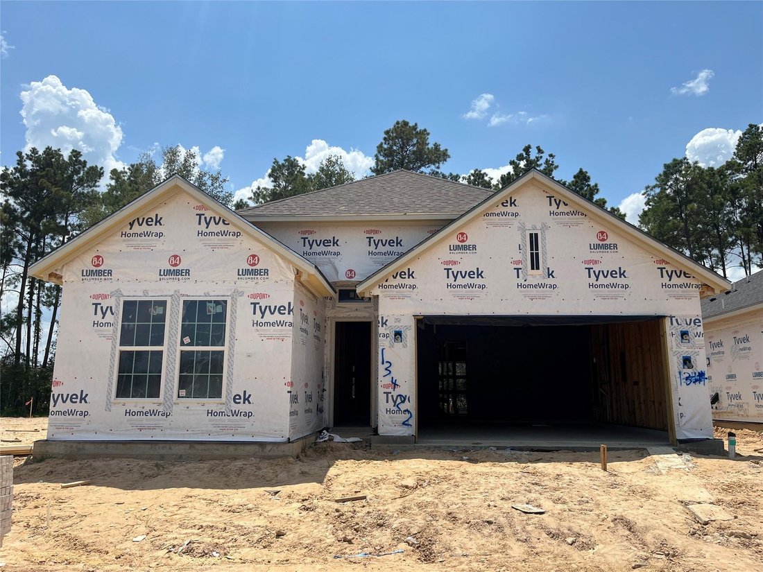 House in Conroe, Texas, United States 1 - 18628748