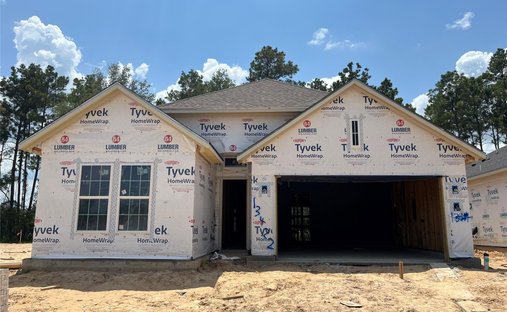 House in Conroe, Texas, United States 1