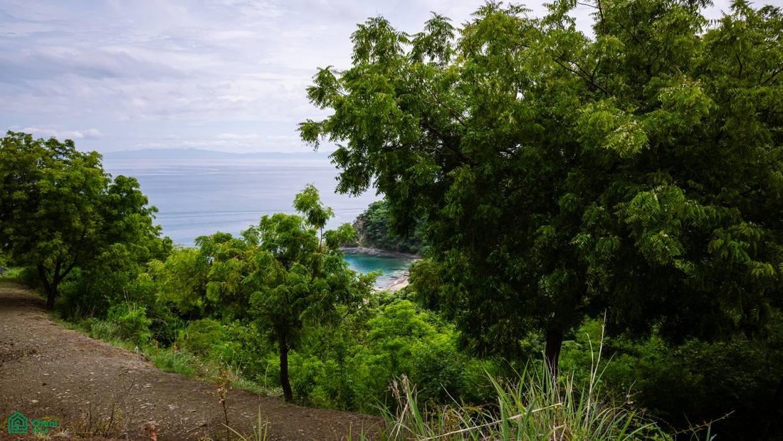 Land in Carrillo, Costa Rica 4 - 17810965
