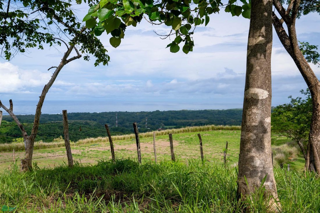 Land in Santacruz, Santa Cruz, Costa Rica 3 - 17810960