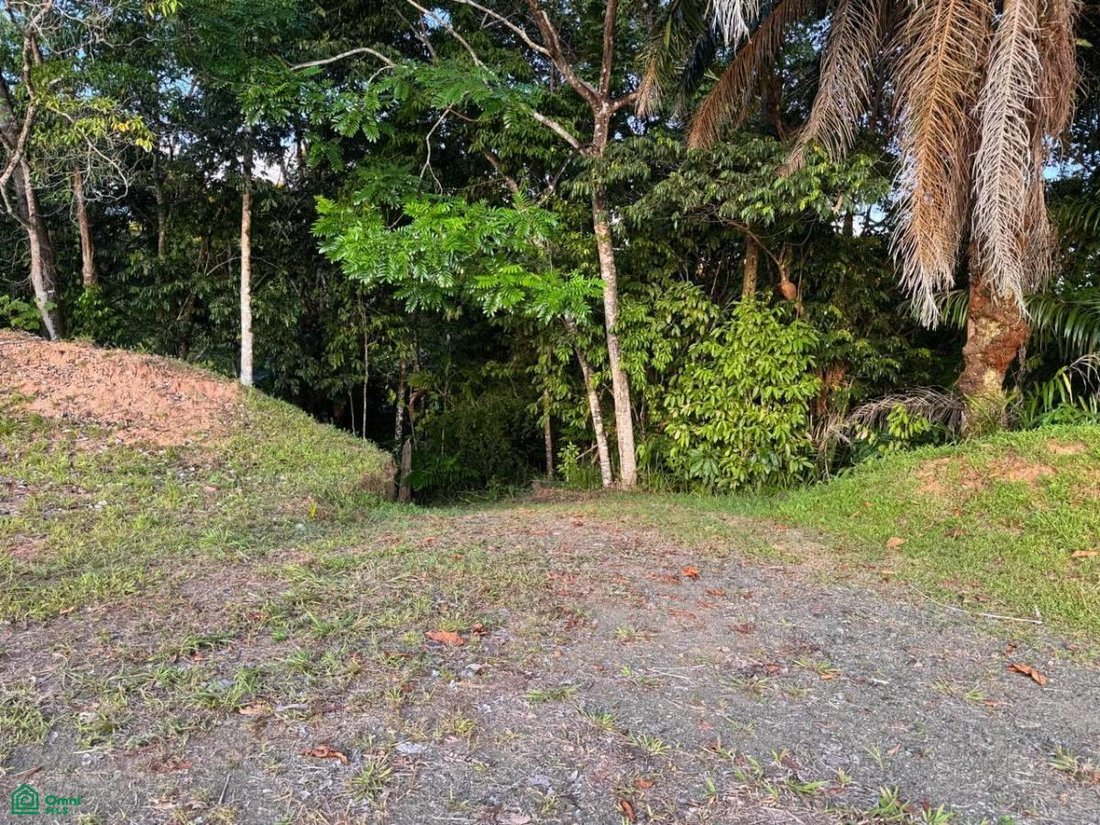 House in Chacara, Puntarenas Province, Costa Rica 1 - 17765147