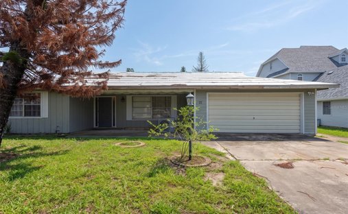 Haus in New Smyrna Beach, Florida, Vereinigte Staaten 1