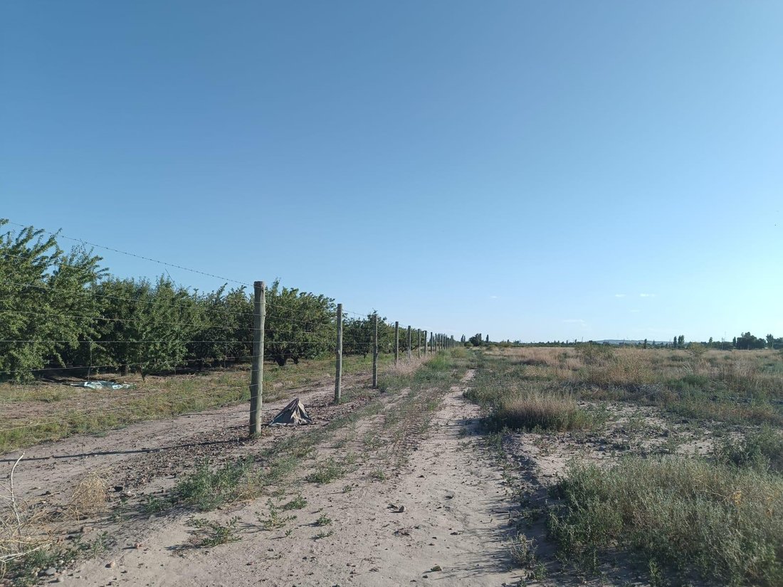 Land in Maipú, Mendoza Province, Argentina 2 - 18627222