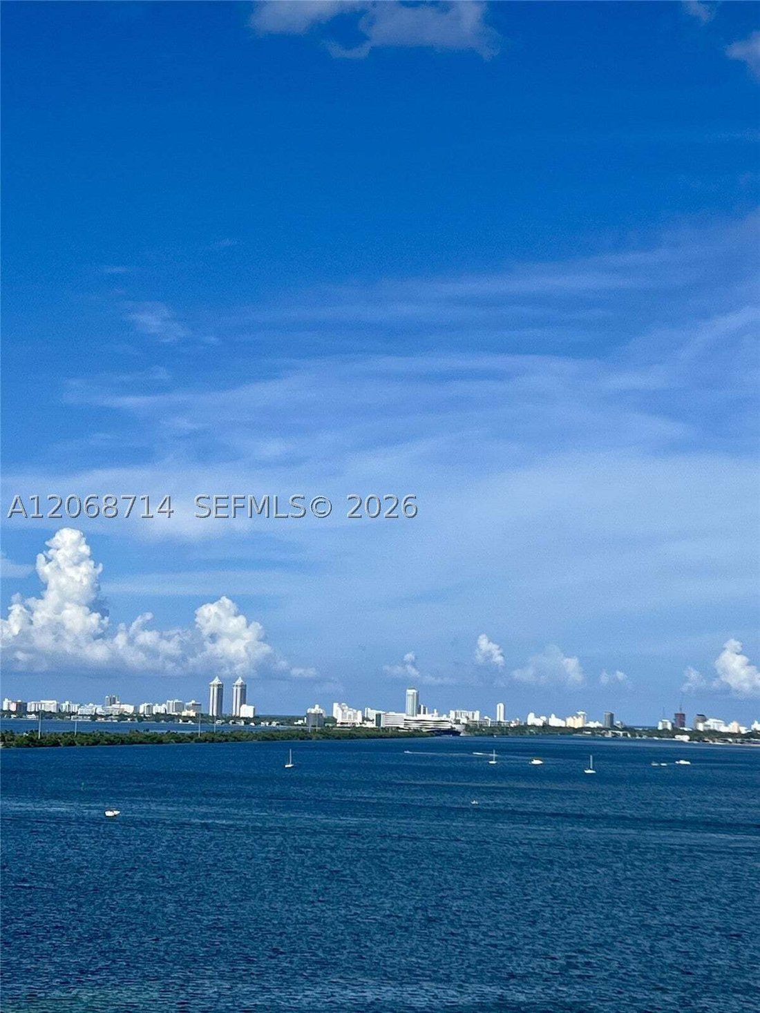 Condo in Miami, Florida, United States 1 - 18628420