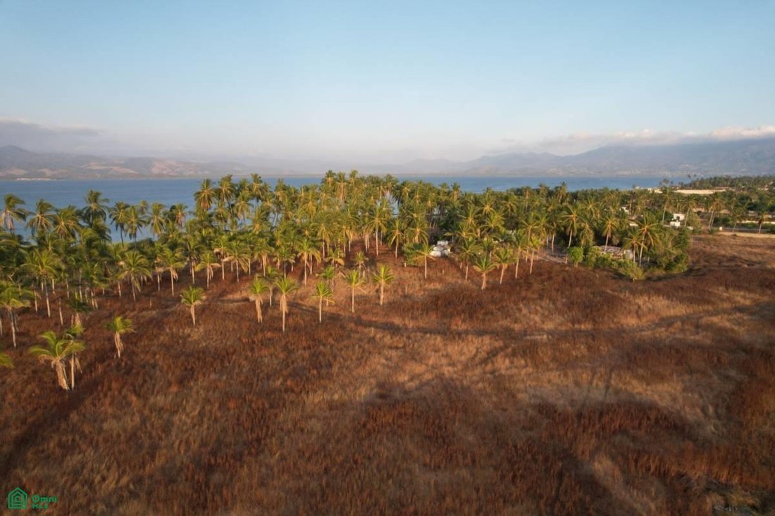 Land in Los Mogotes, Guerrero, Mexico 4 - 18066439