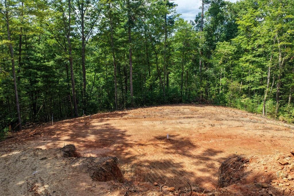 House in Blue Ridge, Georgia, United States 1 - 17757817