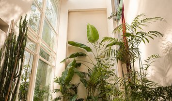 Townhouse in Mexico City, Mexico 2