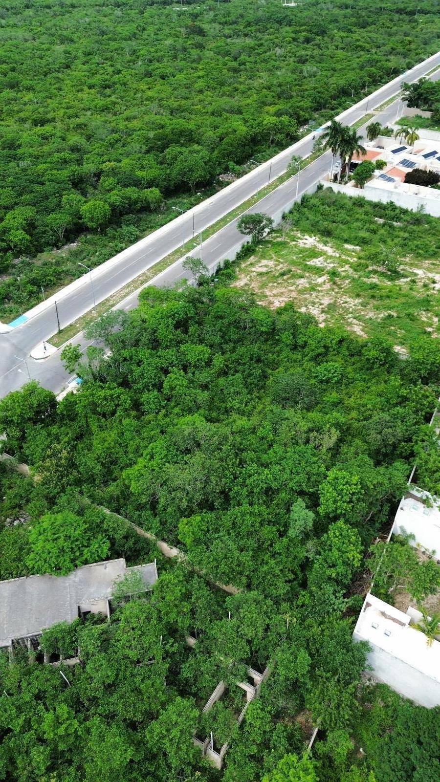 Land in Mérida, Yucatan, Mexico 4 - 18626015