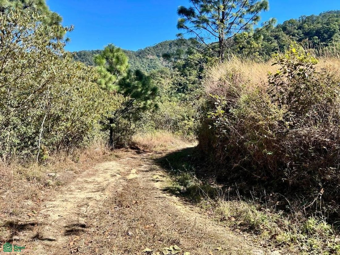 Terreno en San Sebastián del Oeste, Jalisco, México 5 - 17815137