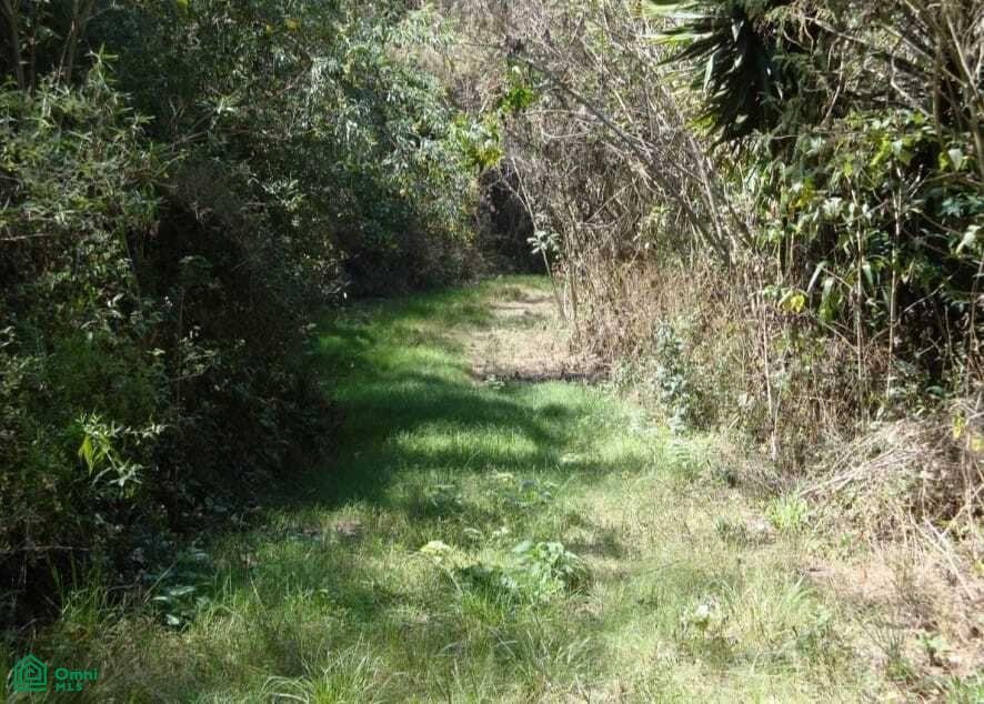 Land in Tonatico, State of Mexico, Mexico 2 - 17811079