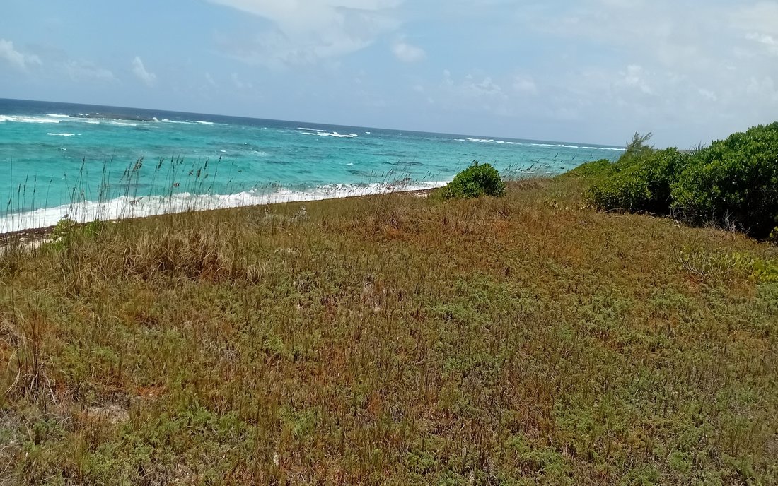 Land in Dunmore Settlement, Long Island, The Bahamas 3 - 18629876