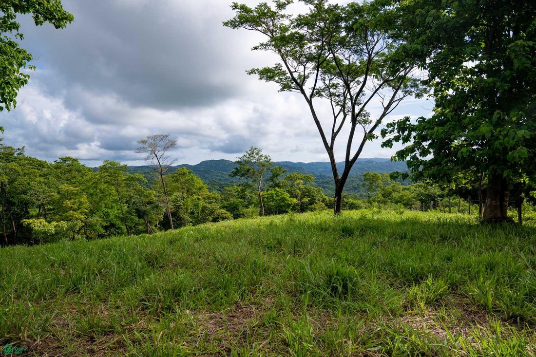 Land in Santacruz, Santa Cruz, Costa Rica 1 - 17810960
