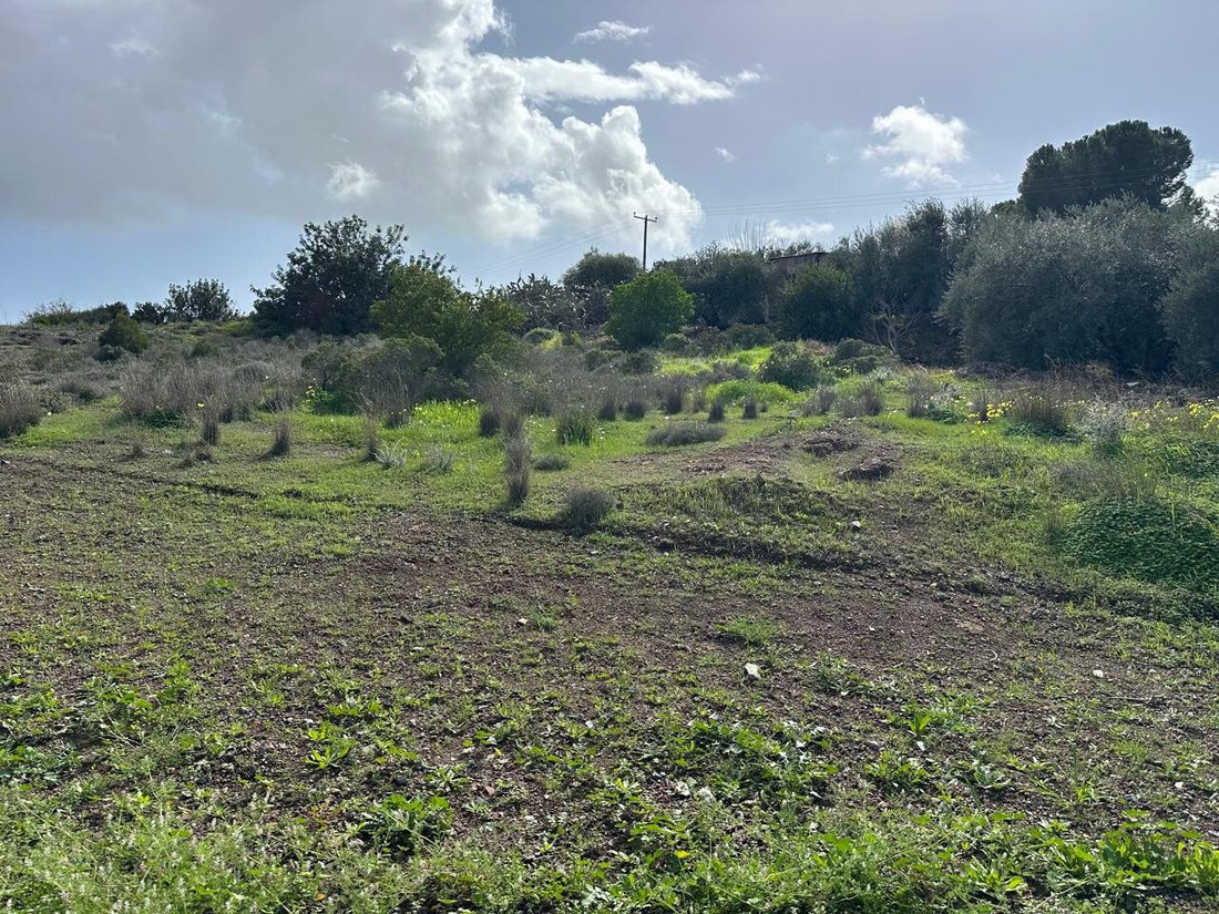 Land in Moni, Limassol, Cyprus 5 - 17287696