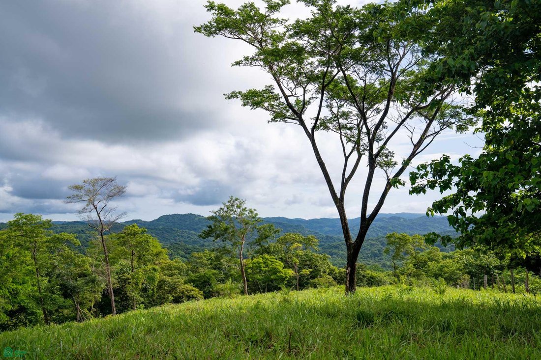 Land in Santacruz, Santa Cruz, Costa Rica 2 - 17810960