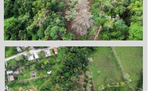 Land in Xilitla, San Luis Potosi, Mexico 1
