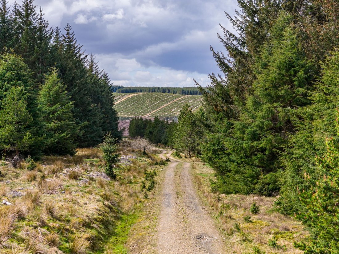 Highland, Scotland 4 - 18626503