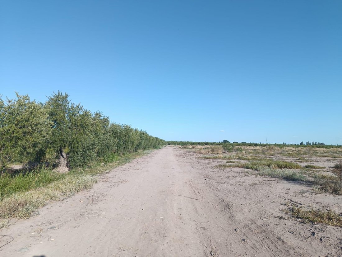 Land in Maipú, Mendoza Province, Argentina 3 - 18627222