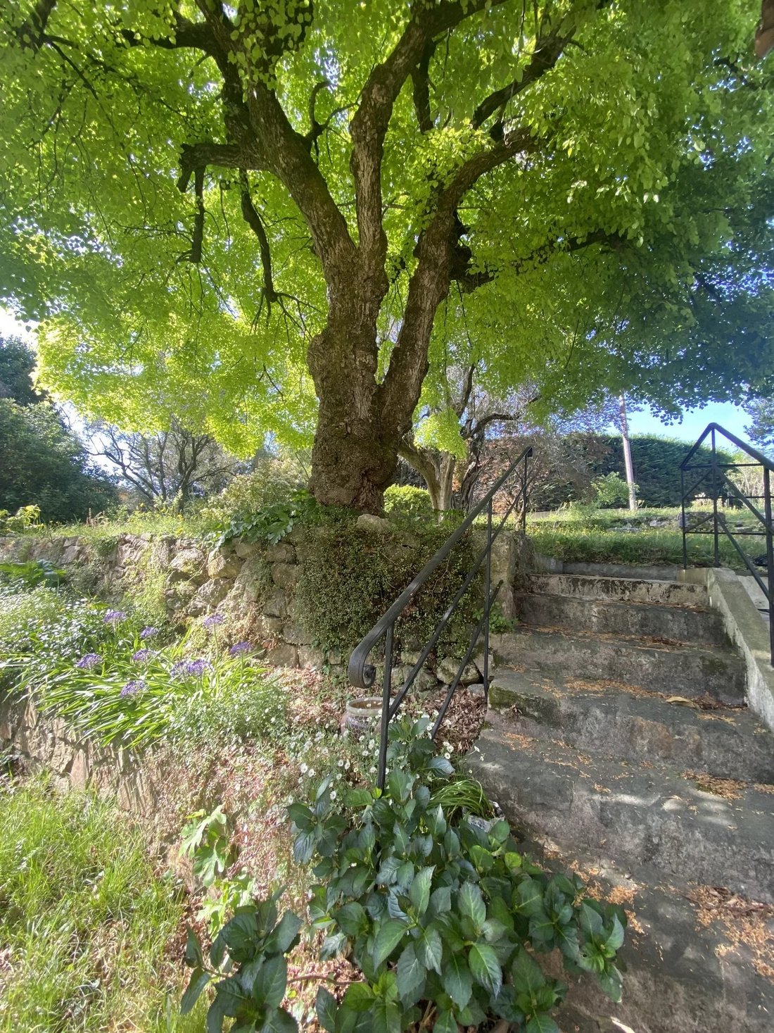 Estate in Mougins, Provence-Alpes-Côte d'Azur, France 2 - 18630223