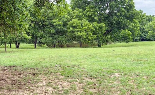 House in Lone Oak, Texas, United States 1