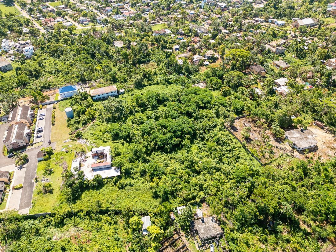 Land in Negril, Westmoreland Parish, Jamaica 2 - 18631263