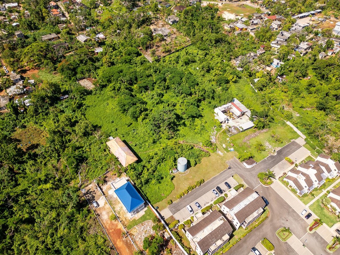 Land in Negril, Westmoreland Parish, Jamaica 4 - 18631263