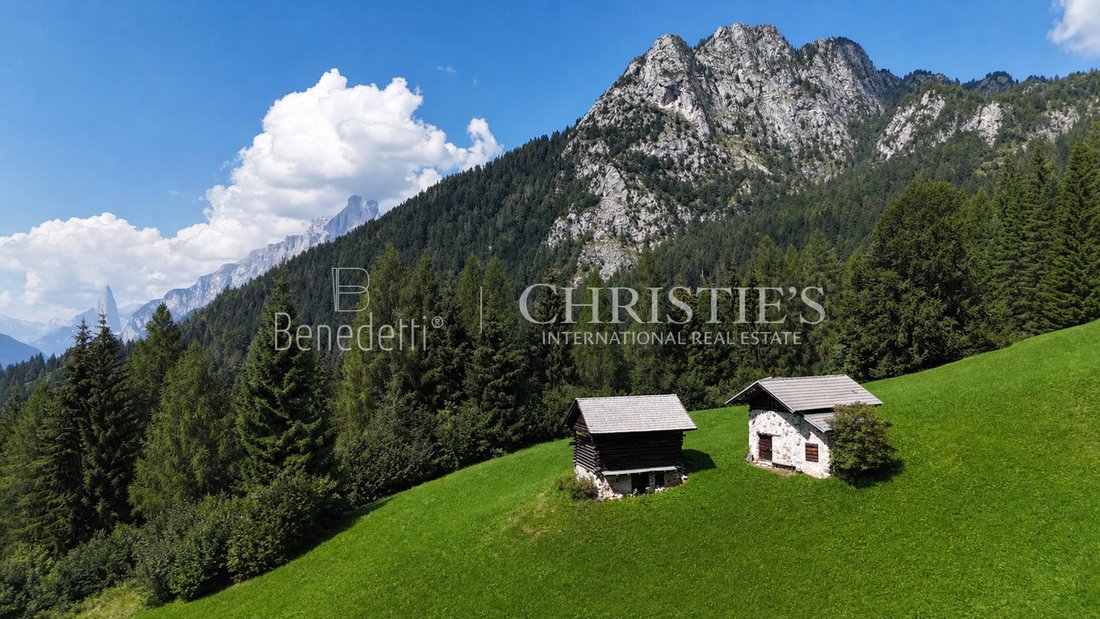 Chalet in Primiero San Martino di Castrozza, Trentino-Südtirol, Italien 1 - 18595922