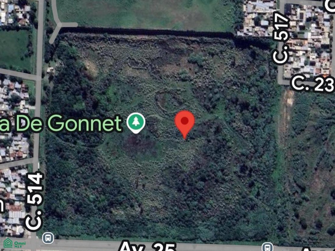 Land in Manuel B. Gonnet, Buenos Aires Province, Argentina 1 - 18630896