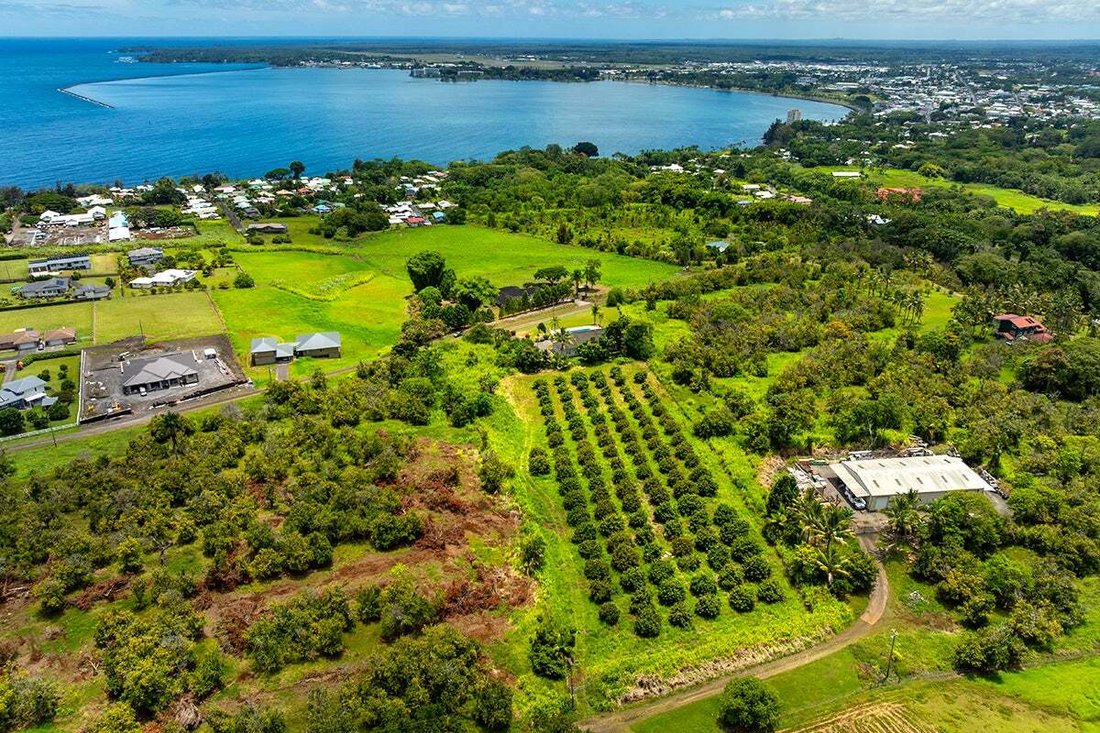 House in Hilo, Hawaii, United States 2 - 18630910