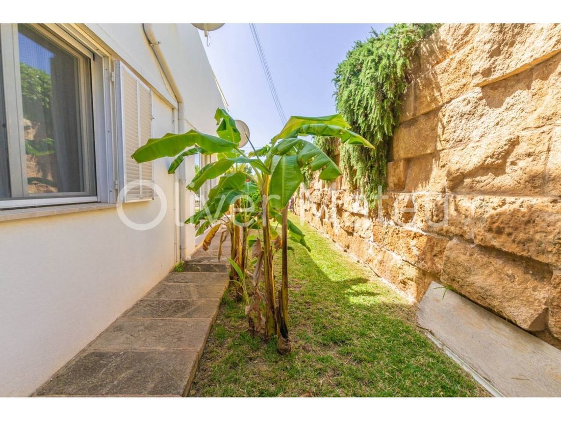Apartment in Portocolom, Felanitx, Balearic Islands 5 - 18194252