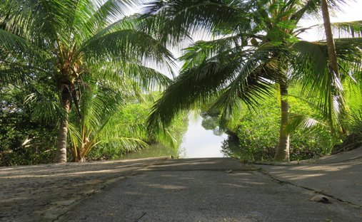 Finca in Boca Chica, Chiriquí Province, Panama 1
