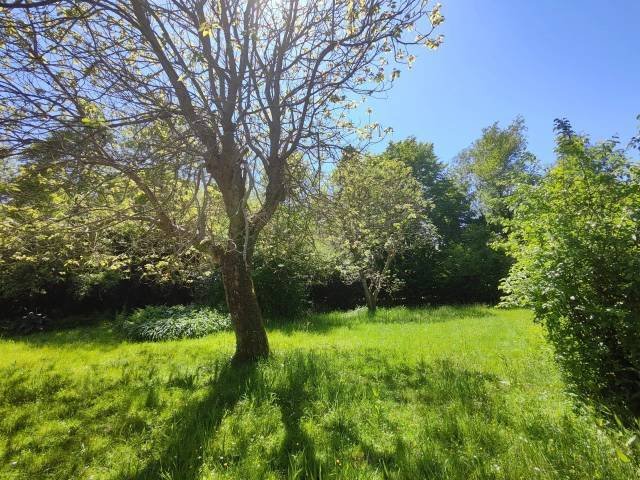 House in Pouillon, Nouvelle-Aquitaine, France 4 - 16461303
