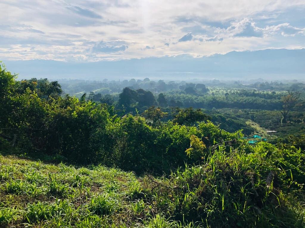 Finca in Montenegro, Montenegro, Colombia 4 - 18630937