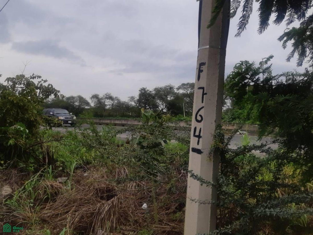 Terreno en Buenavista, Jalisco, México 4 - 17814525