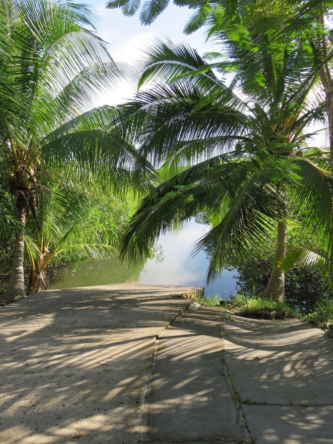 Finca in Boca Chica, Chiriquí Province, Panama 4 - 18631248