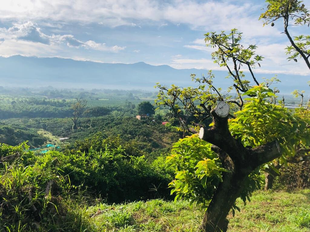 Finca in Montenegro, Montenegro, Colombia 3 - 18630937