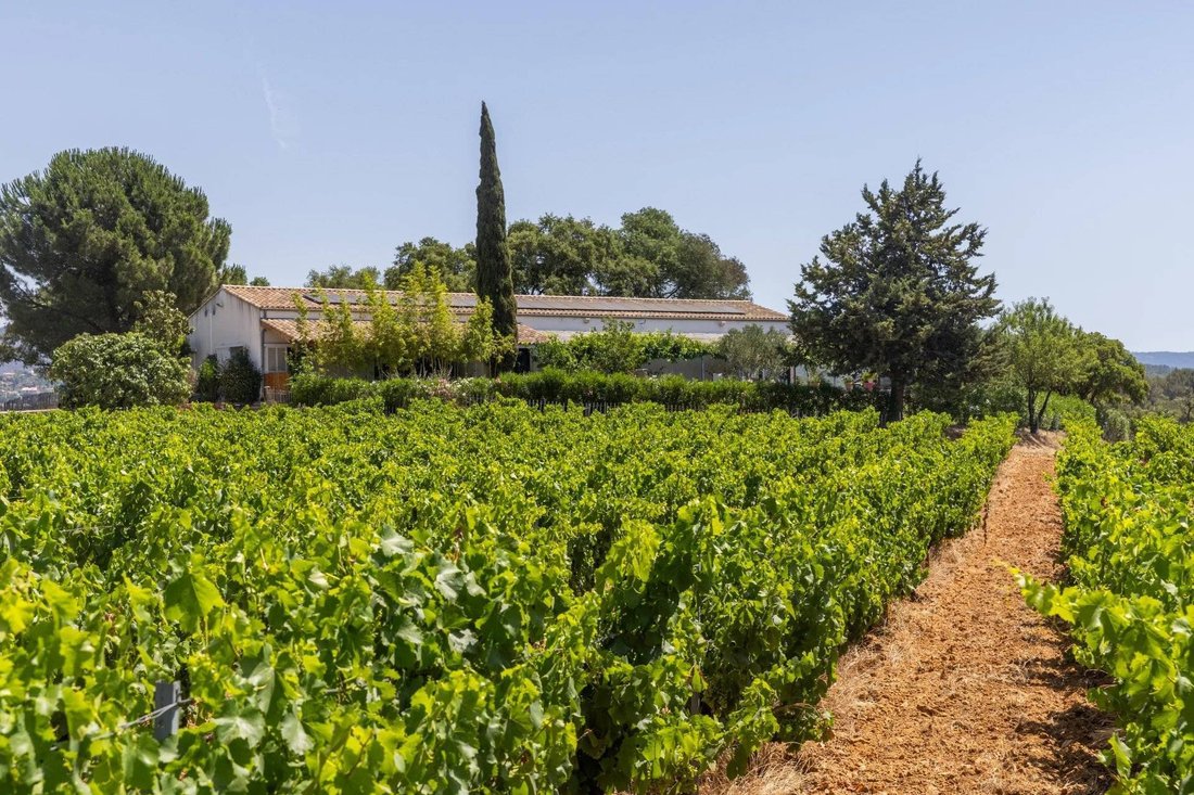 House in La Londe-les-Maures, Provence-Alpes-Côte d'Azur, France 2 - 18261328