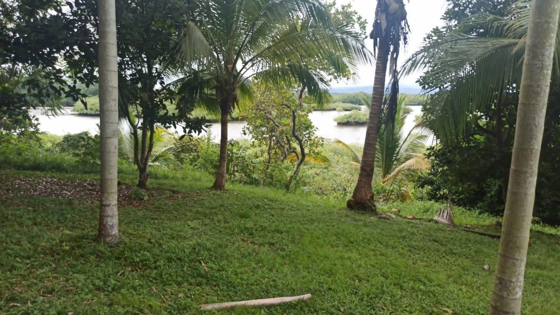 Finca in Boca Chica, Chiriquí Province, Panama 2 - 18631248